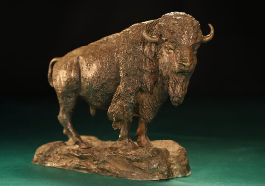 MAGNIFICENT BRONZE OF AN AMERICAN BISON AFTER BARYE c1900